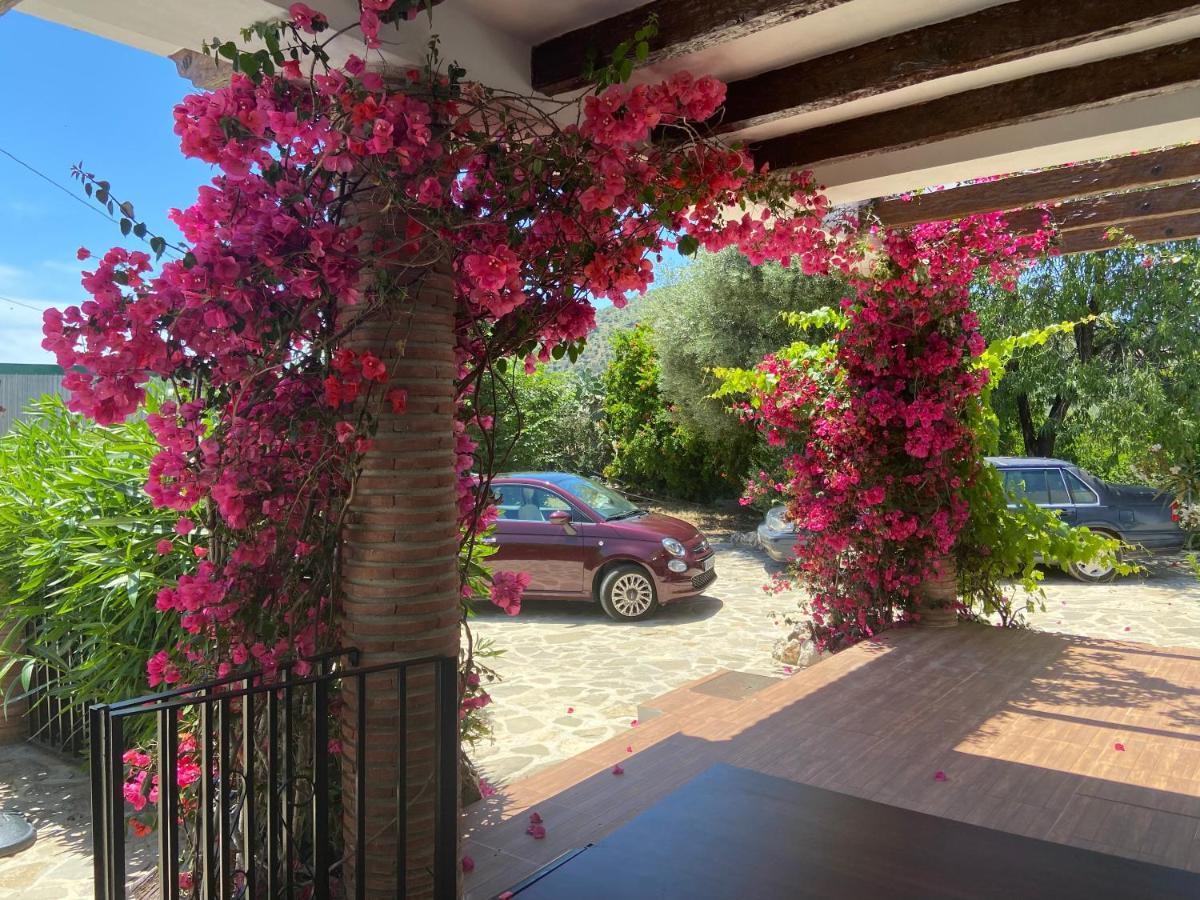 Villa Zahar Periana Екстериор снимка