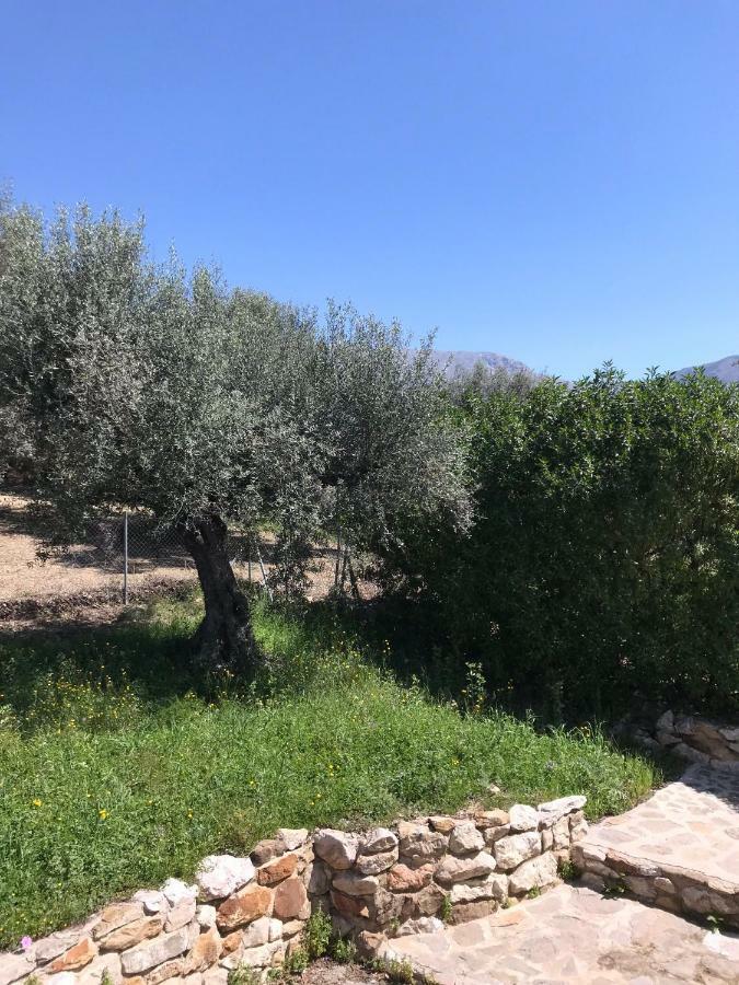 Villa Zahar Periana Екстериор снимка