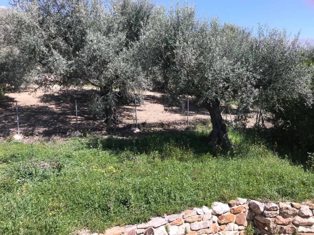 Villa Zahar Periana Екстериор снимка